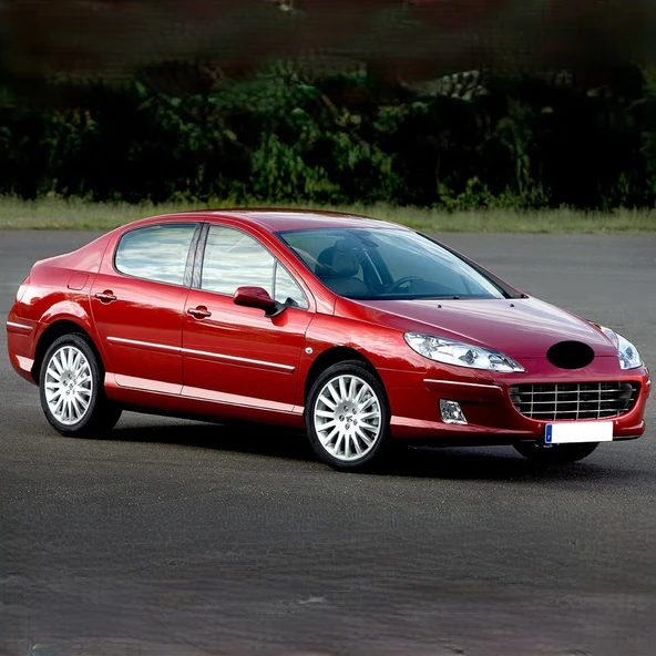 Peugeot 407 2004-2011 Cam Su Fiskiye Deposunun Kapağı Kapak - 2