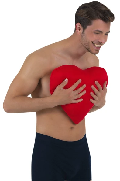 VİZOR KALP YASTIĞI