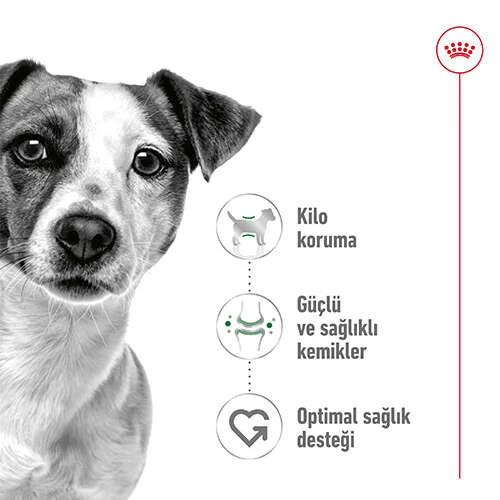 Royal Canin Mini Adult 4 kg Küçük Irk Yetişkin Köpek Maması - Resim 3