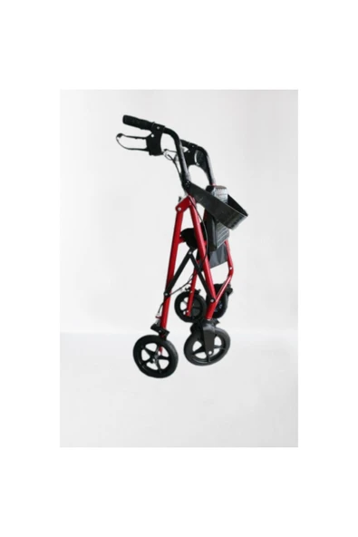 POYLİN Poylin P580y Ekonomik Rollatör - 4