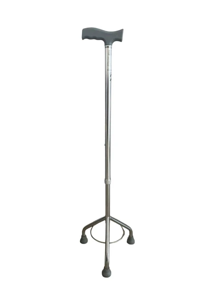 POYLİN P541 Tripot Baston - 3
