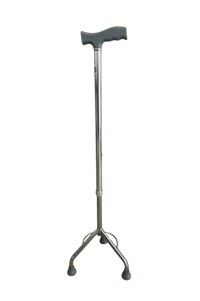 POYLİN P541 Tripot Baston - 2