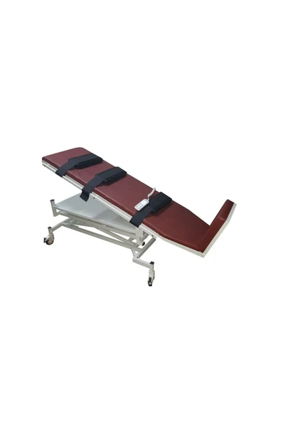 ACBED MEDİKAL Iki Motorlu Tilt Masası (tilt Table) ürün görseli