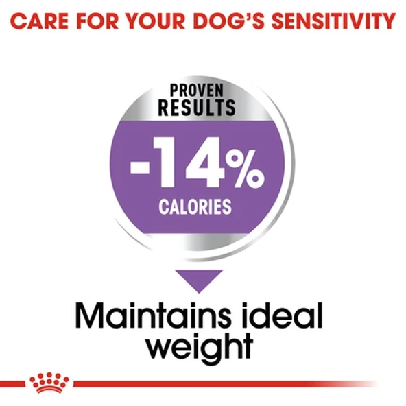 Royal Canin Sterilised Mini 3 kg Kısırlaştırılmış Küçük Irk Yetişkin Köpek Maması - Resim 5