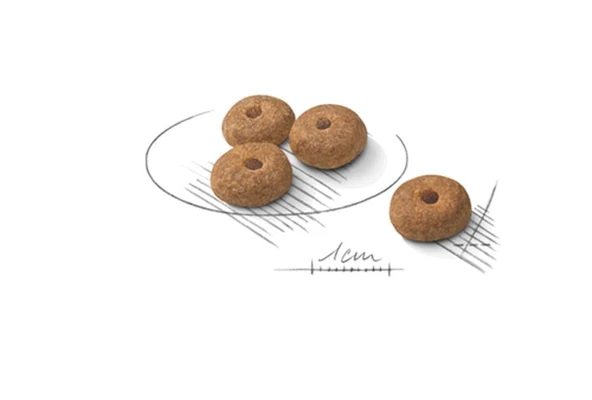 Royal Canin Sterilised Mini 3 kg Kısırlaştırılmış Küçük Irk Yetişkin Köpek Maması - Resim 4