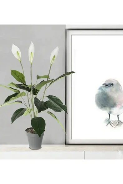 76 Litre 55x50,5cm  Tabaklı Izgaralı Dekoratif Plastik Saksı Yalı No8 - 2