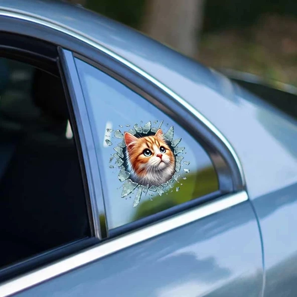 Fulcar Sarman Araç Stickerı ürün görseli