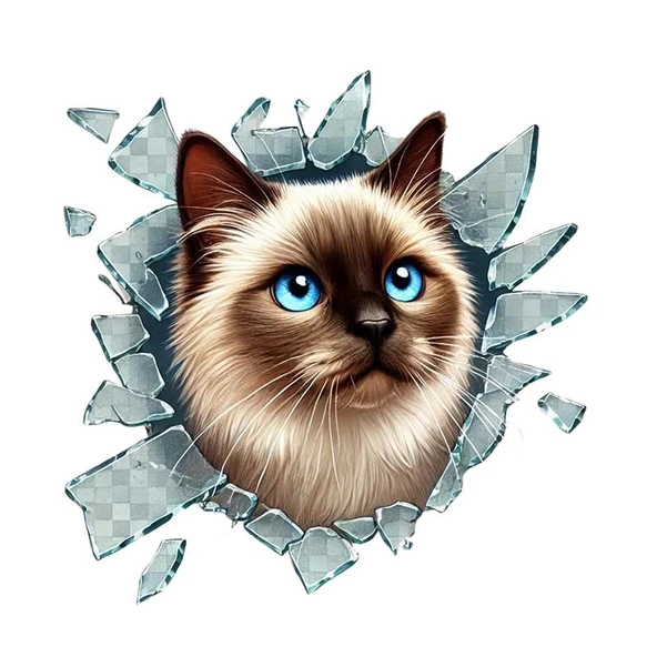 Fulcar Siamesse Araç Stickerı - Resim 2