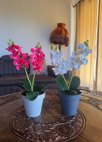 Nettenevime Yapay Çiçek Krem Saksıda Mini Orkide 2 Adet Beyaz Ve Fuşya Renk 28cm - Resim 4