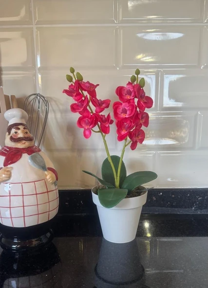 Nettenevime Yapay Çiçek Krem Saksıda Mini Orkide 2 Adet Beyaz Ve Fuşya Renk 28cm - Resim 2