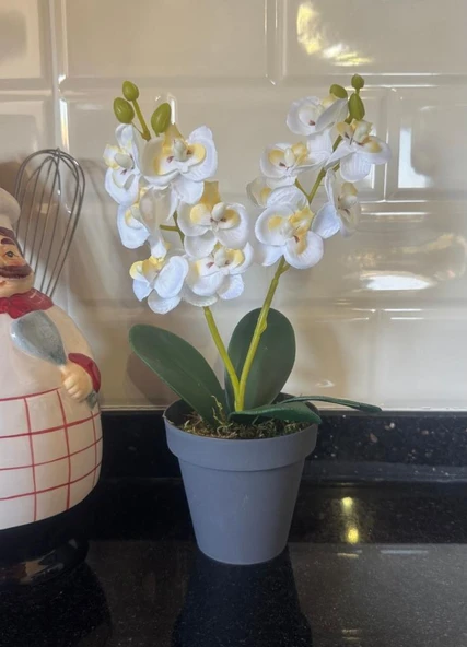 Nettenevime Yapay Çiçek Krem Saksıda Mini Orkide 2 Adet Beyaz Ve Fuşya Renk 28cm - Resim 3