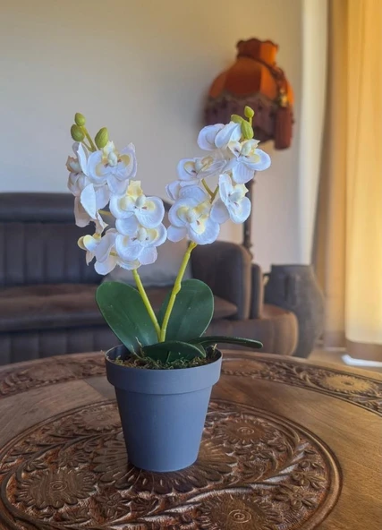 Nettenevime Yapay Çiçek Krem Saksıda Mini Orkide 2 Adet Beyaz Ve Fuşya Renk 28cm - Resim 5
