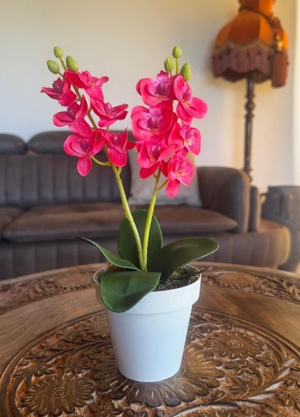 Nettenevime Yapay Çiçek Krem Saksıda Mini Orkide 2 Adet Beyaz Ve Fuşya Renk 28cm - Resim 6