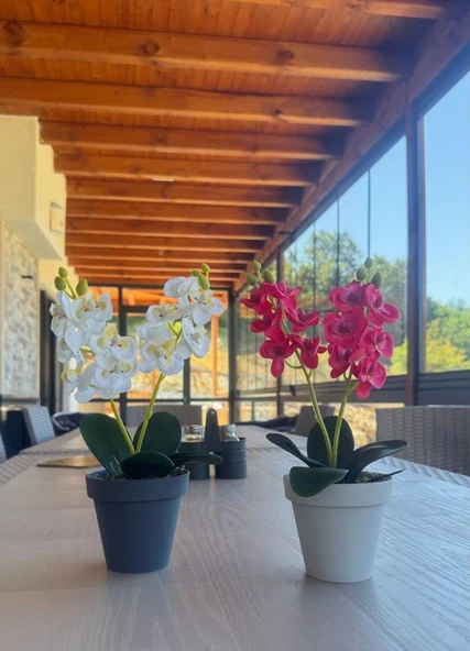 Nettenevime Yapay Çiçek Krem Saksıda Mini Orkide 2 Adet Beyaz Ve Fuşya Renk 28cm - Resim 7