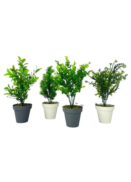 Nettenevime 4lü Set Yapay Çiçek Mini Saksıda Yeşil Bitkiler 30cm ürün görseli 1