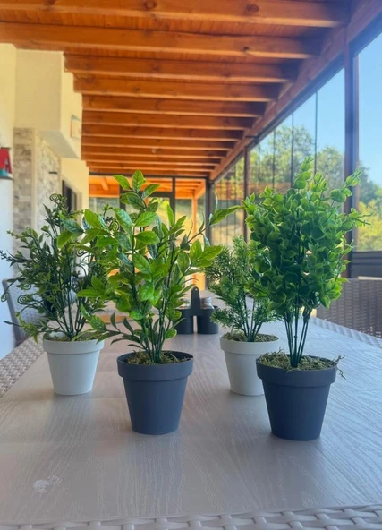 Nettenevime 4lü Set Yapay Çiçek Mini Saksıda Yeşil Bitkiler 30cm - Resim 3