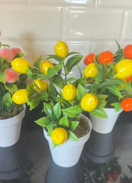 Nettenevime 5li Set Yapay Çiçek Mini Saksıda Meyveler 20cm - Resim 8