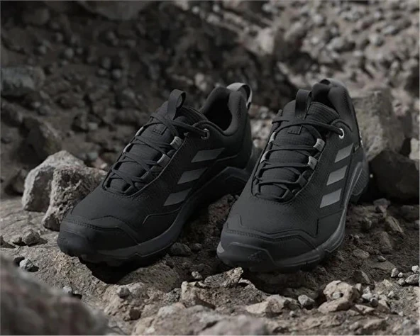 TERREX EASTRAIL GTX W - Resim 2