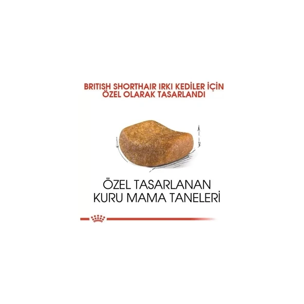 British Shorthair Adult Yetişkin Kedi Maması 10 kg - Resim 4
