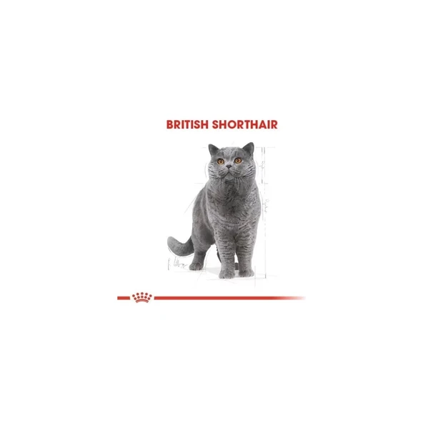 British Shorthair Adult Yetişkin Kedi Maması 10 kg - Resim 2