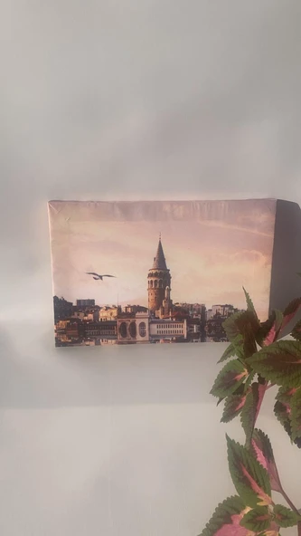 Galata Kulesi Manzaralı Natürel Tasarım Ahşap Çerçeve Ev İşyeri Ofis Duvar Kanvas Tablo SHR1 - 6