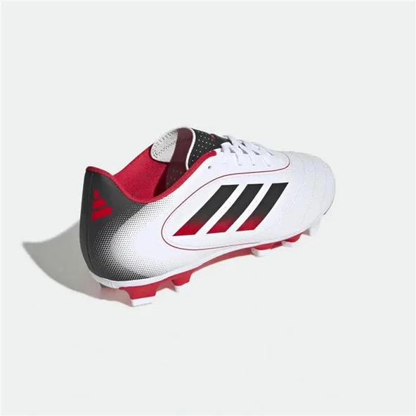 GOLETTO IX FG/MG - 5