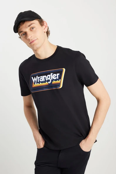 Wrangler Siyah Erkek Bisiklet Yaka Regular Fit T-Shirt W753EE001 SİYAH - Resim 2