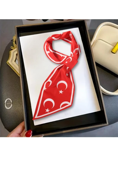 Walkenzo Türk Bayrağı Desenli Şık Kadın Kravat Fular - Resim 5