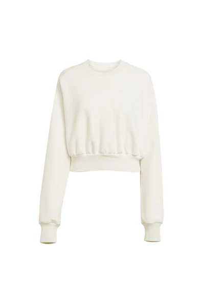 adidas Kadın   Sweatshirt W ALL SZN SL SW JV9893 ürün görseli 1