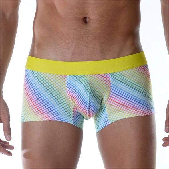 Renkli Boxer - 1