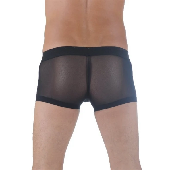 Tegan DM291137 Transparan Erkek Boxer - 2