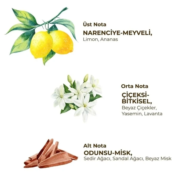 Eyüp Sabri Tuncer Kadın Roll On Deodorant 75 Ml Fresh - 2