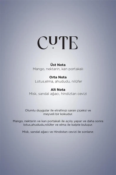 Carpex Cute 125 ml. Classic Seri E2 Power Makine Koku Kartuşu 6 Adet - 4