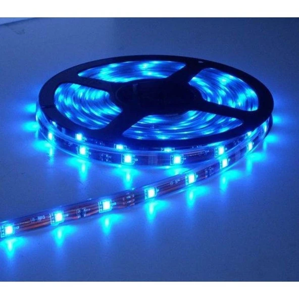 Mavi Led Şerit 5 Mt ürün görseli 1