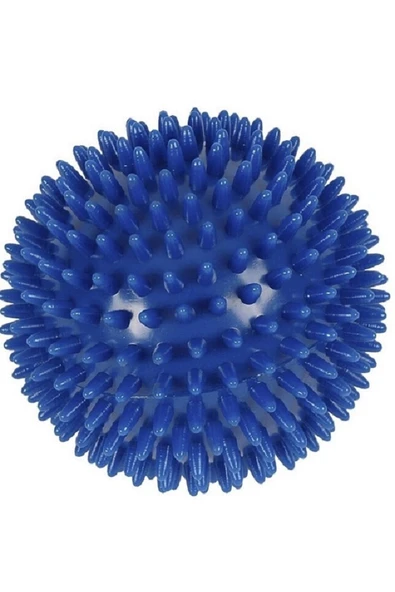 Fizyofiplus EL EGZERSİZ MASAJ VE DUYU TOPU , YUMUŞAK DİKENLİ TOP MAVİ RENK 10 CM ürün görseli