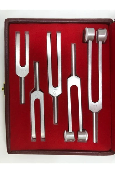 Bestmed 5 Li Diapozon Set Diyapozon Set Frekans 128, 256, 512, 1024 Ve 2048 - 2