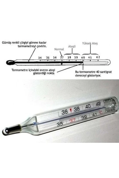 medikaltec Mesilife – CRW1108 Civa İçermeyen Ateş Ölçer - Resim 2