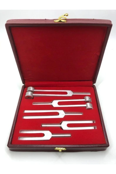 Bestmed 5 Li Diapozon Set Diyapozon Set Frekans 128, 256, 512, 1024 Ve 2048 ürün görseli