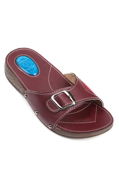 Comfort Style Kadın Bordo Ortopedik Halluks Ve Topuk Dikeni Terliği Kemik Çıkıntısı Terliği - Resim 2
