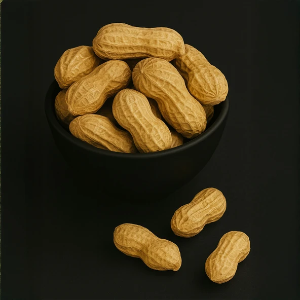 Sade Kavrulmuş Kabuklu Yer Fıstığı 10 kg ürün görseli