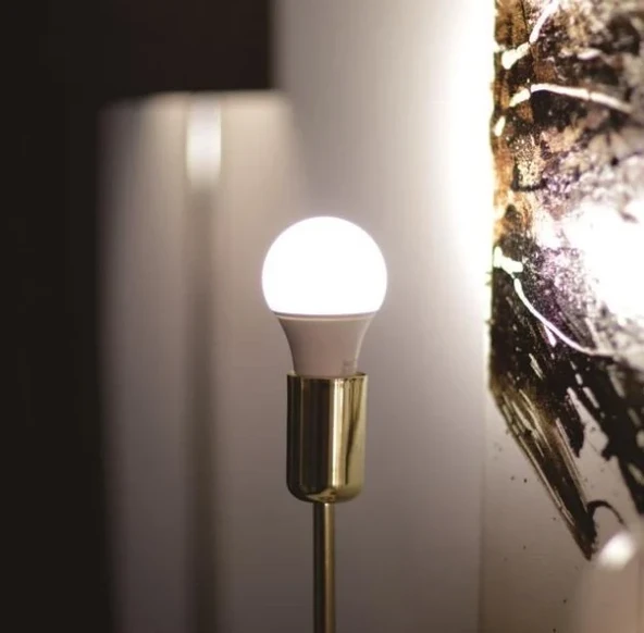 Cata Ct-4274 2’li 100W LED Ampul E27 Duy Uzun Ömürlü Enerji Tasarruflu 6400K Soğuk Beyaz - 5