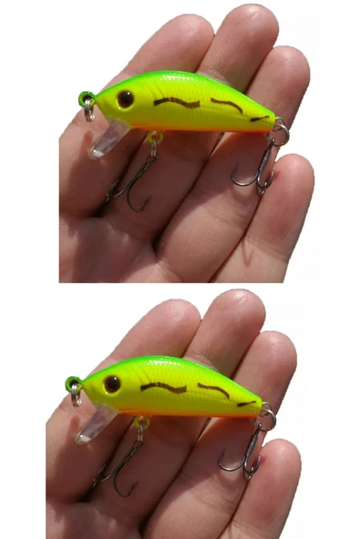 Rapala Lures Yapay Suni Yem Jig YemTurna Levrek Alabalık Yemi MaketBalık 2 Adet 5 Gr ürün görseli