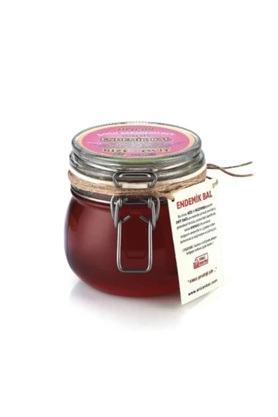 Arıcan Rize Ovit Yaylaları Endemik Bal 600 gr