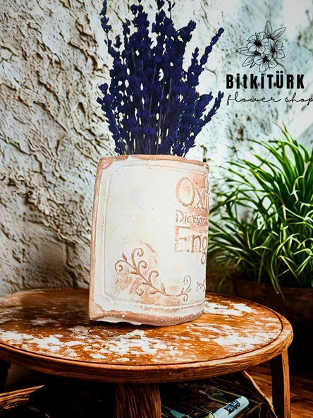 BitkiTÜRK- Kitap beton saksıda lavanta - 2