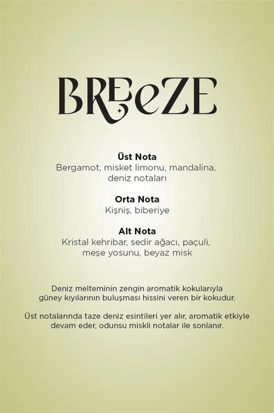 Carpex Breeze 200 ml. Classic Seri A1 Makine Koku Kartuşu - 3