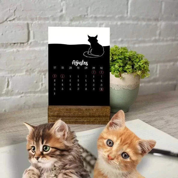 Ahşap Tabanlı Masa Takvimi | Kedi Fotoğraflı 2026 Masa Takvimi