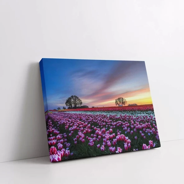 Ekinoks Altında Ağaç Kanvas Tablo - Resim 2