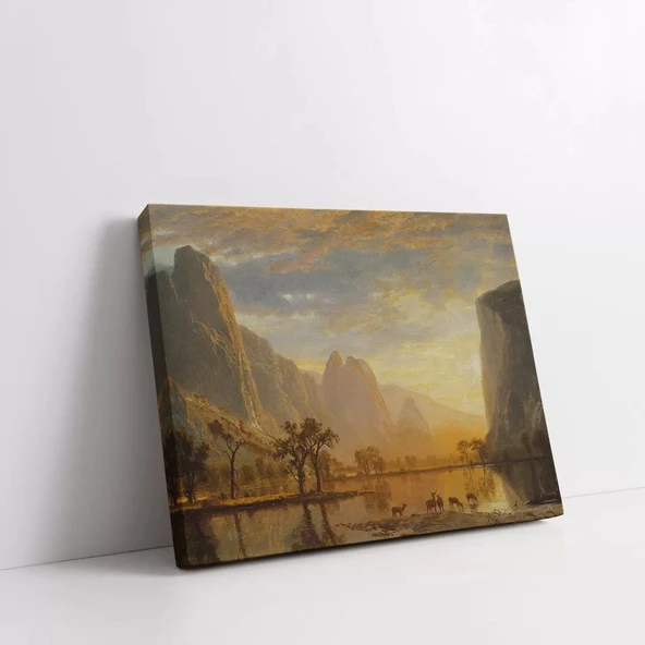 Göz Alıcı Yansımalar Kanvas Tablo - Resim 2