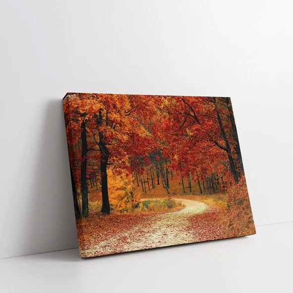 Sonbaharın Altın Yolu Kanvas Tablo - Resim 2