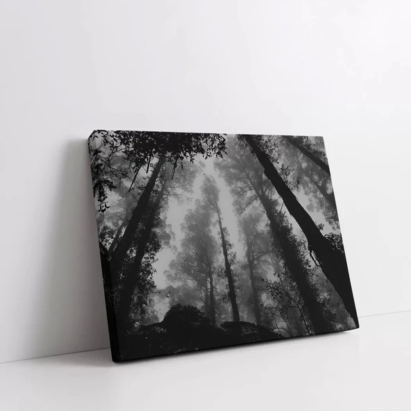 Ormanın Derinliklerinde Kanvas Tablo - Resim 2
